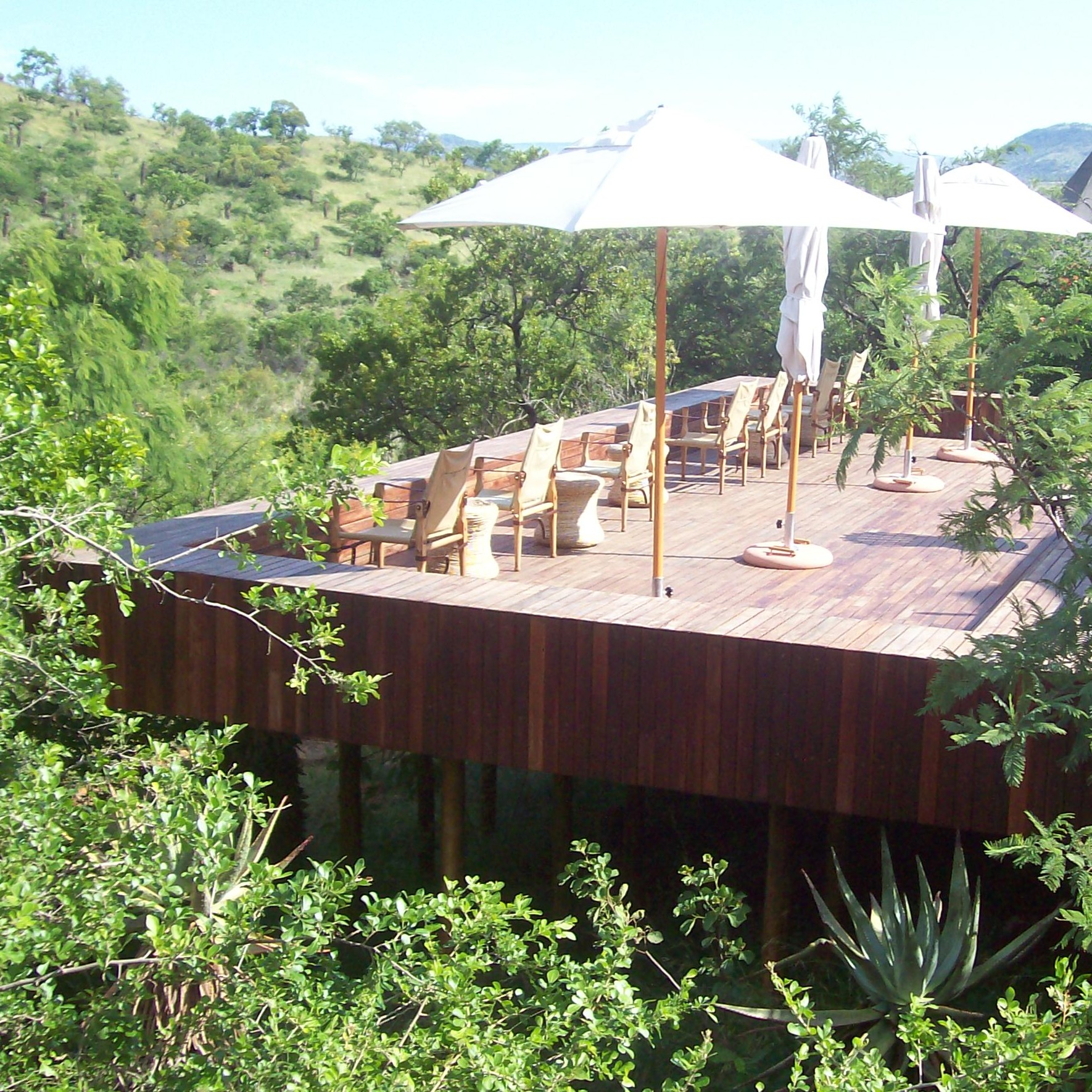 Elevated viewing deck